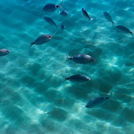 Borgo Donna Canfora מלון דירות קאפו ואטיצ'אנו