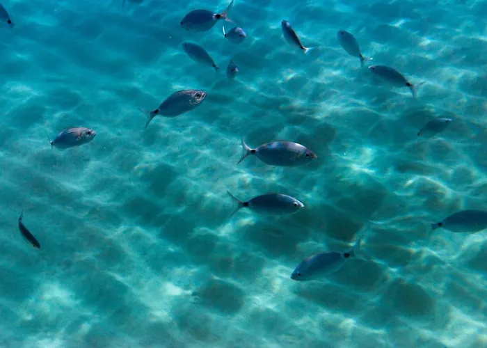 Borgo Donna Canfora Apart-hotel Capo Vaticano