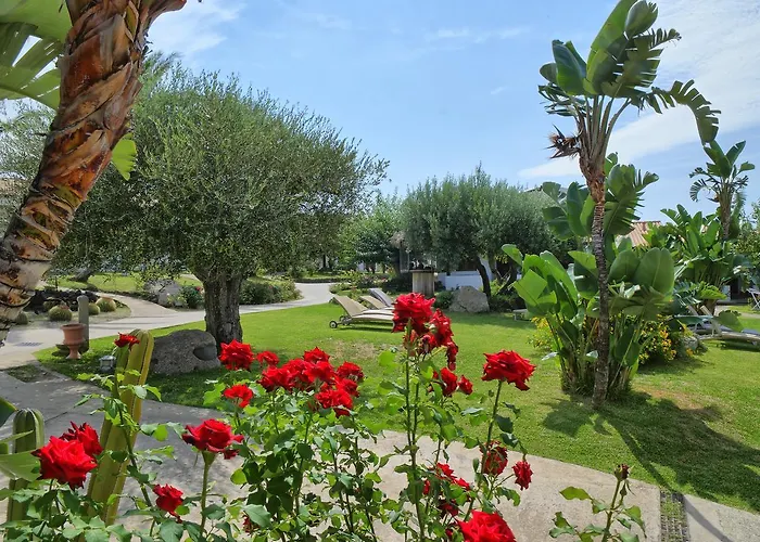 Apart-hotel Borgo Donna Canfora Capo Vaticano